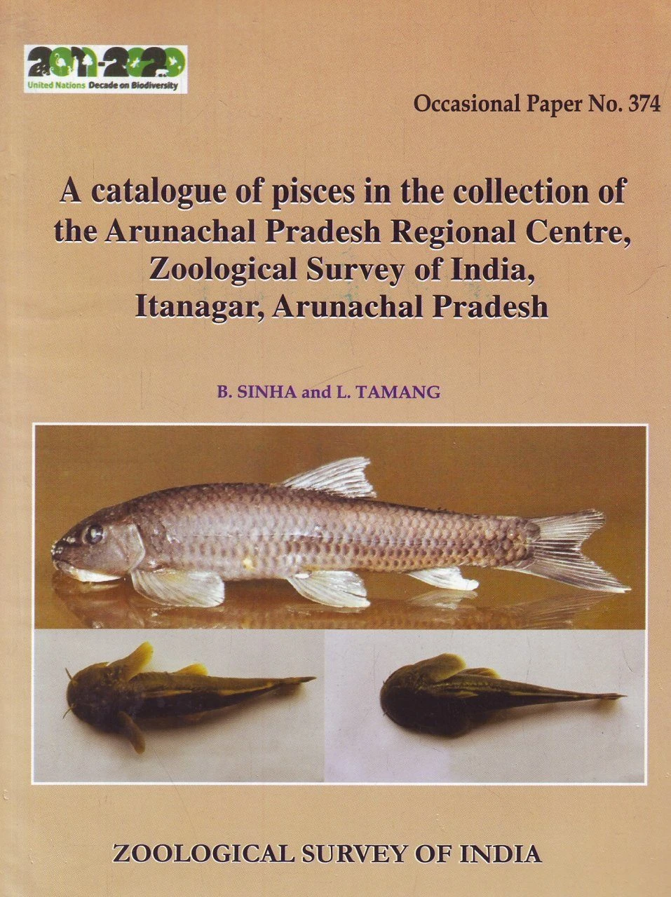 A Catalogue Of Pisces In The Collection Of The Arunachal Pradesh Regional Centre, Zoological Survey Of India, Itanagar, Arunachal Pradesh 3 A Catalogue Of Pisces In The Collection Of The Arunachal Pradesh Regional Centre, Zoological Survey Of India, Itanagar, Arunachal Pradesh