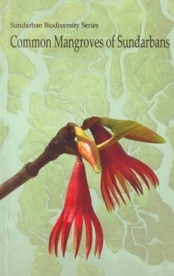 Common Mangroves Of Sundarbans