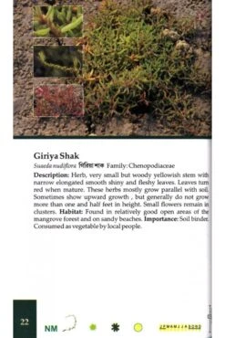 Common Mangroves Of Sundarbans 7 Common Mangroves Of Sundarbans -Wildlife Professional Books 228395 2