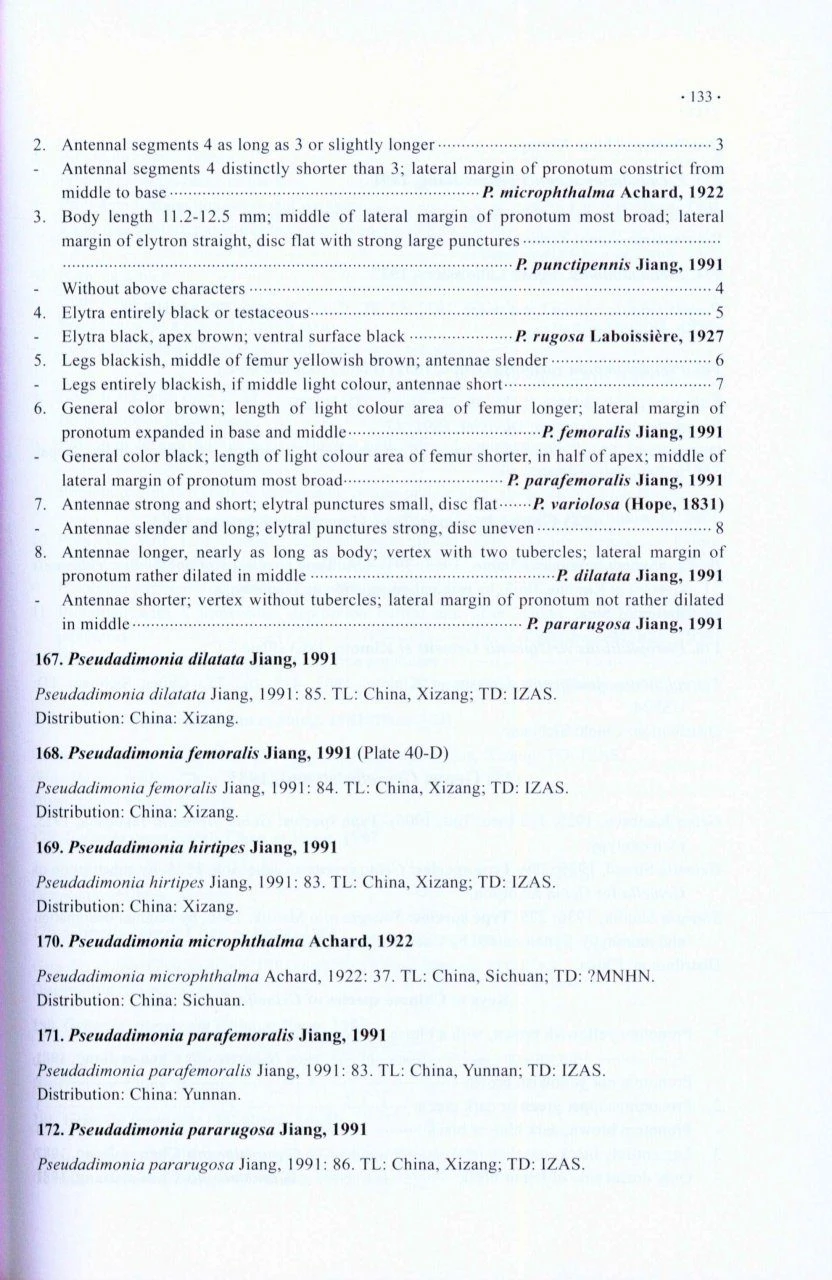 Chinese Leaf Beetles 4 Chinese Leaf Beetles - Image 2