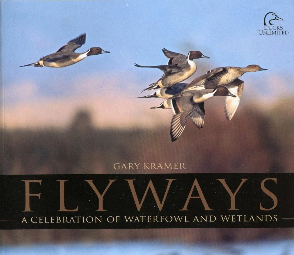 Flyways 3 Flyways