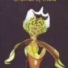 Lady's Slipper Orchids Of India -Wildlife Professional Books 228513