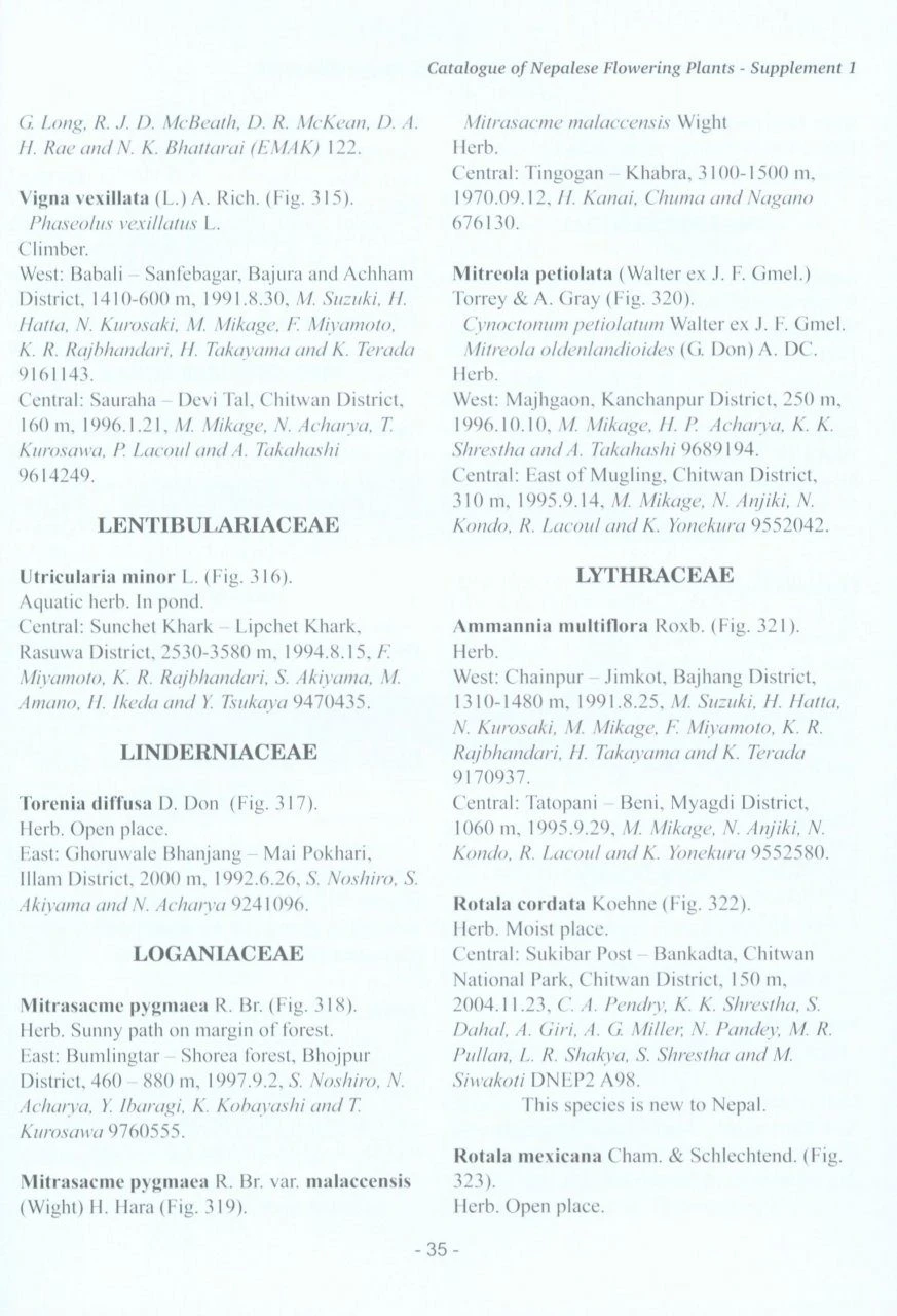 Catalogue Of Nepalese Flowering Plants: Supplement 1 4 Catalogue Of Nepalese Flowering Plants: Supplement 1 - Image 2