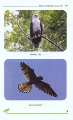 Malabar Ornithological Survey, 2010-2011 8 Malabar Ornithological Survey, 2010-2011 -Wildlife Professional Books 228793 2