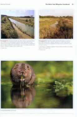 The Water Vole Mitigation Handbook 9 The Water Vole Mitigation Handbook -Wildlife Professional Books 228840 2