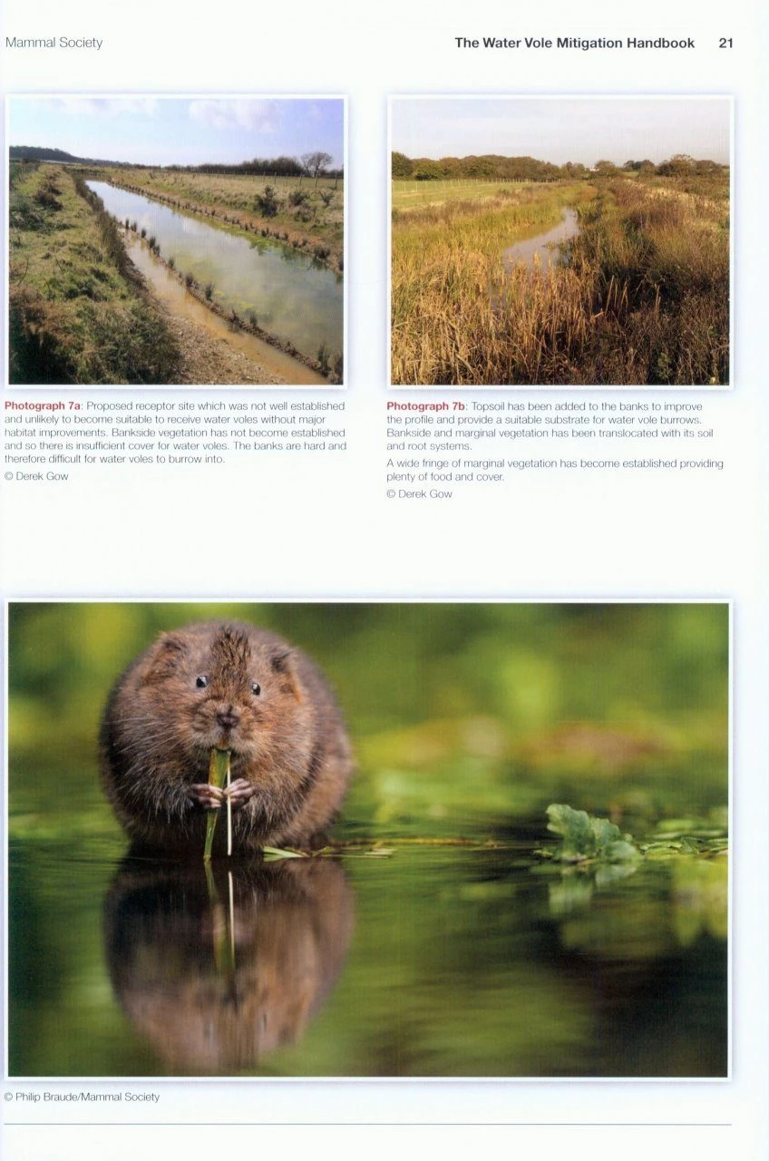 The Water Vole Mitigation Handbook 5 The Water Vole Mitigation Handbook - Image 3