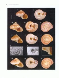 Tropical Deep-Sea Benthos, Volume 29 [Memoires Du Museum National D'Histoire Naturelle, Volume 208] -Wildlife Professional Books 228869 2