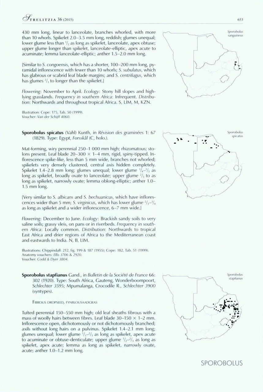 Identification Guide To Southern African Grasses 7 Identification Guide To Southern African Grasses - Image 5