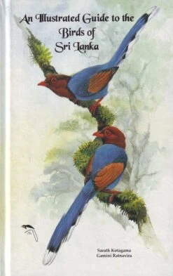 An Illustrated Guide To The Birds Of Sri Lanka