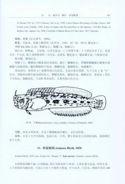 Fauna Sinica: Osteichthyes: Perciformes IV [Chinese] -Wildlife Professional Books 229557 2