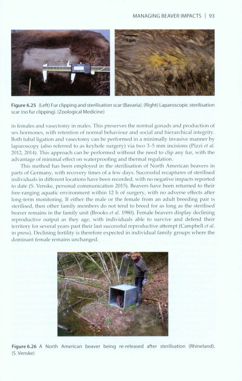 The Eurasian Beaver Handbook 5 The Eurasian Beaver Handbook - Image 3
