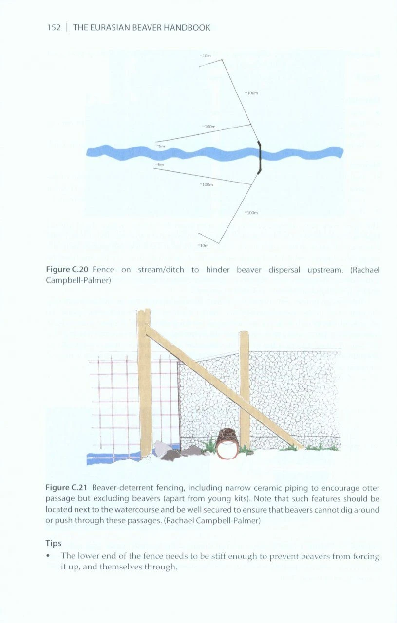 The Eurasian Beaver Handbook 7 The Eurasian Beaver Handbook - Image 5