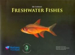 Sri Lankan Freshwater Fishes