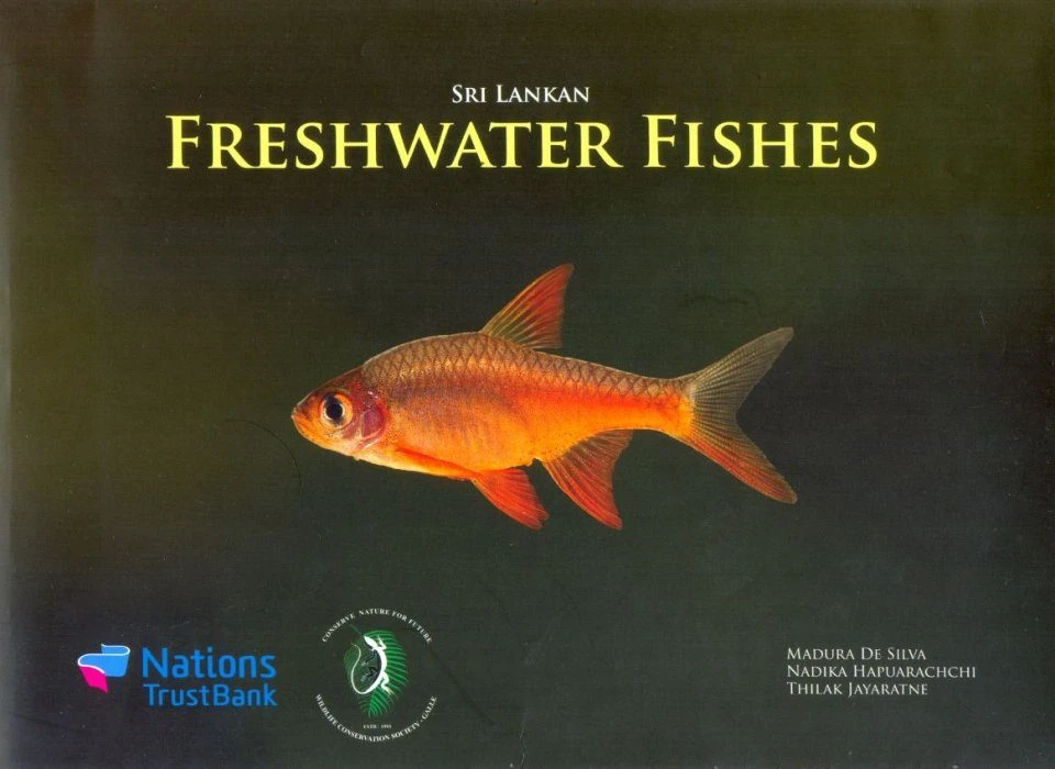 Sri Lankan Freshwater Fishes 3 Sri Lankan Freshwater Fishes