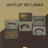 Ants Of Sri Lanka 1 Ants Of Sri Lanka -Wildlife Professional Books 229582