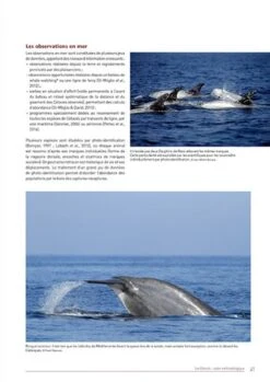 Les Mammifères De Provence-Alpes-Côte D'Azur [The Mammals Of Provence-Alpes-Côte D'Azur] -Wildlife Professional Books 229875 2