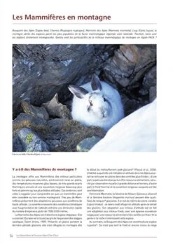 Les Mammifères De Provence-Alpes-Côte D'Azur [The Mammals Of Provence-Alpes-Côte D'Azur] -Wildlife Professional Books 229875 3