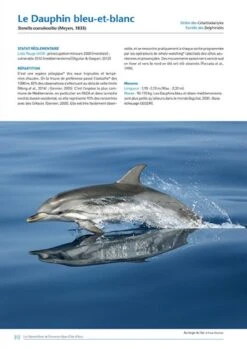 Les Mammifères De Provence-Alpes-Côte D'Azur [The Mammals Of Provence-Alpes-Côte D'Azur] -Wildlife Professional Books 229875 7