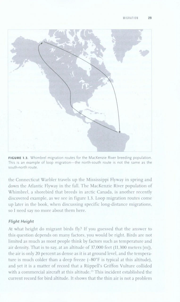 Long Hops 5 Long Hops - Image 3