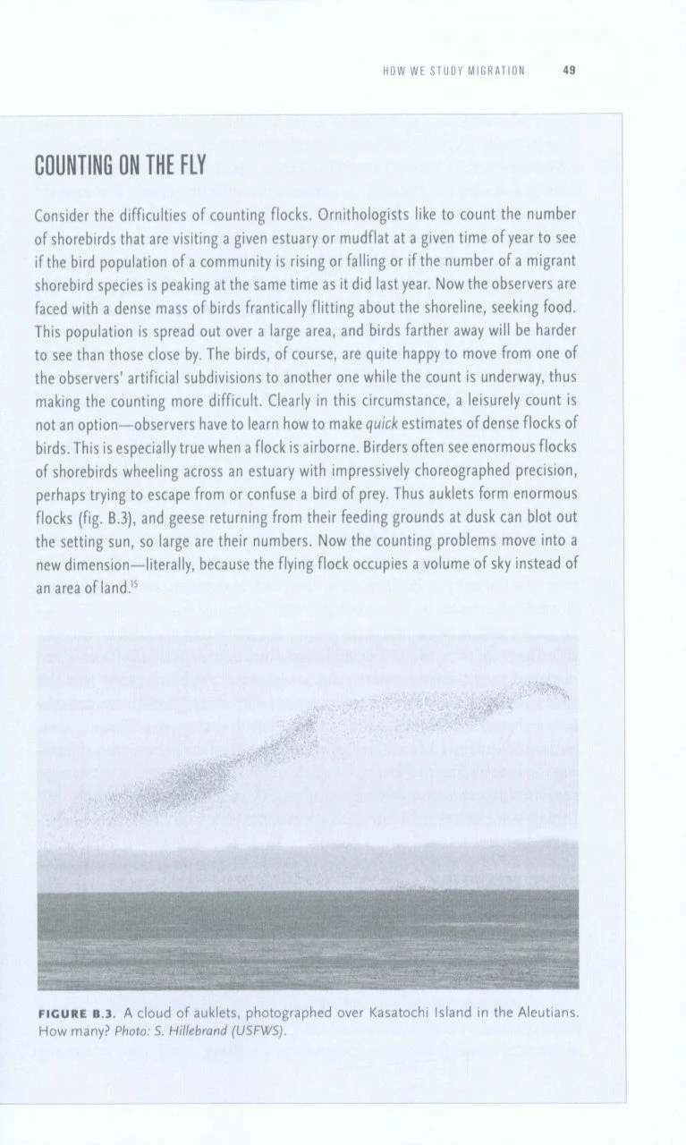 Long Hops 6 Long Hops - Image 4