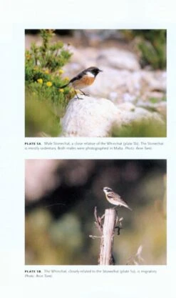 Long Hops 12 Long Hops -Wildlife Professional Books 230365 3