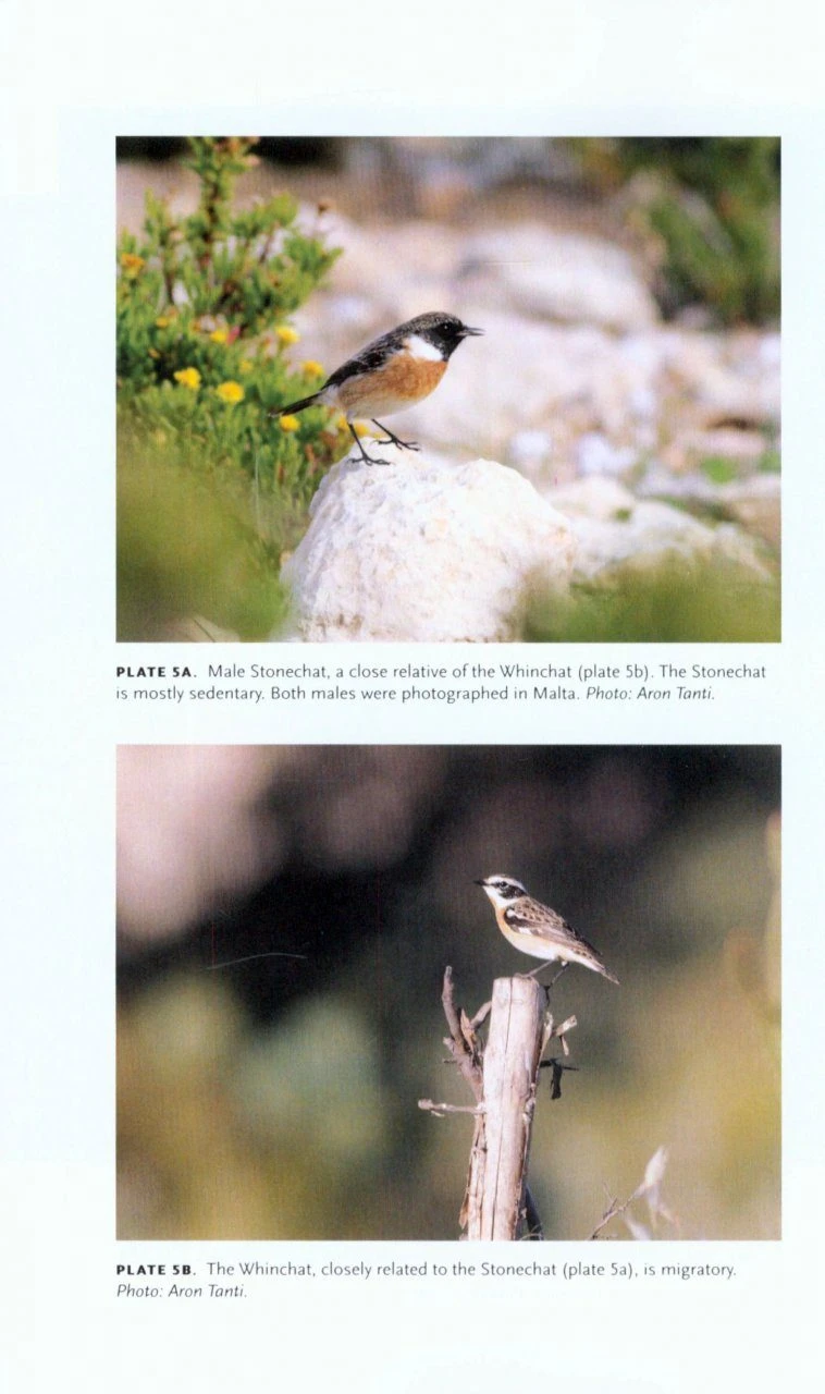 Long Hops 7 Long Hops - Image 5