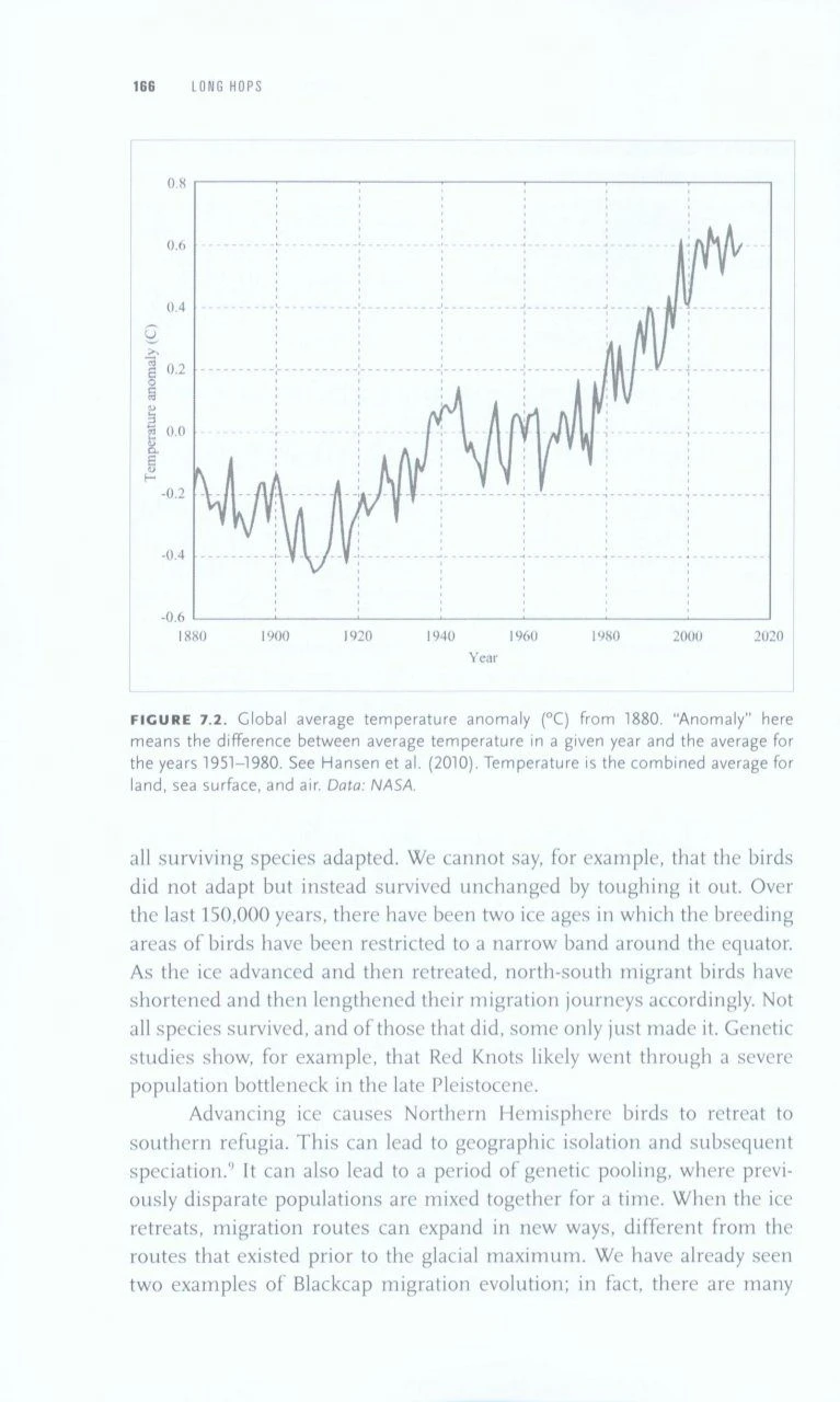 Long Hops 8 Long Hops - Image 6