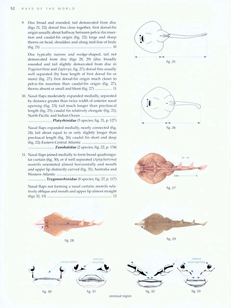 Rays Of The World 4 Rays Of The World - Image 2