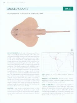 Rays Of The World 11 Rays Of The World -Wildlife Professional Books 230667 2