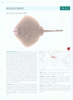 Rays Of The World 12 Rays Of The World -Wildlife Professional Books 230667 3