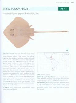 Rays Of The World 13 Rays Of The World -Wildlife Professional Books 230667 4