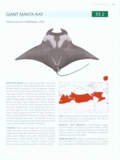 Rays Of The World 15 Rays Of The World -Wildlife Professional Books 230667 6