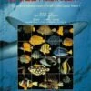 Fishes From Nansha Islands To South China Coastal Waters, Volume 1 [English / Chinese] -Wildlife Professional Books 230812