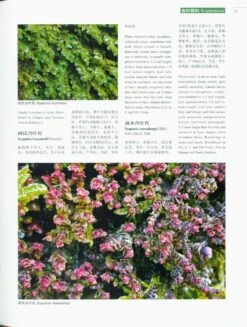 Higher Plants Of China In Colour, Volume 1: Bryophytes [English / Chinese] -Wildlife Professional Books 230934 1