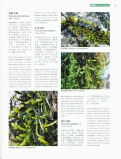 Higher Plants Of China In Colour, Volume 1: Bryophytes [English / Chinese] -Wildlife Professional Books 230934 4