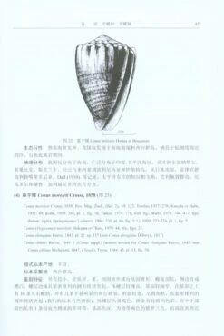 Fauna Sinica Invertebrata, Volume 55: Mollusca, Gastropoda, Conidae [Chinese] -Wildlife Professional Books 230960 1