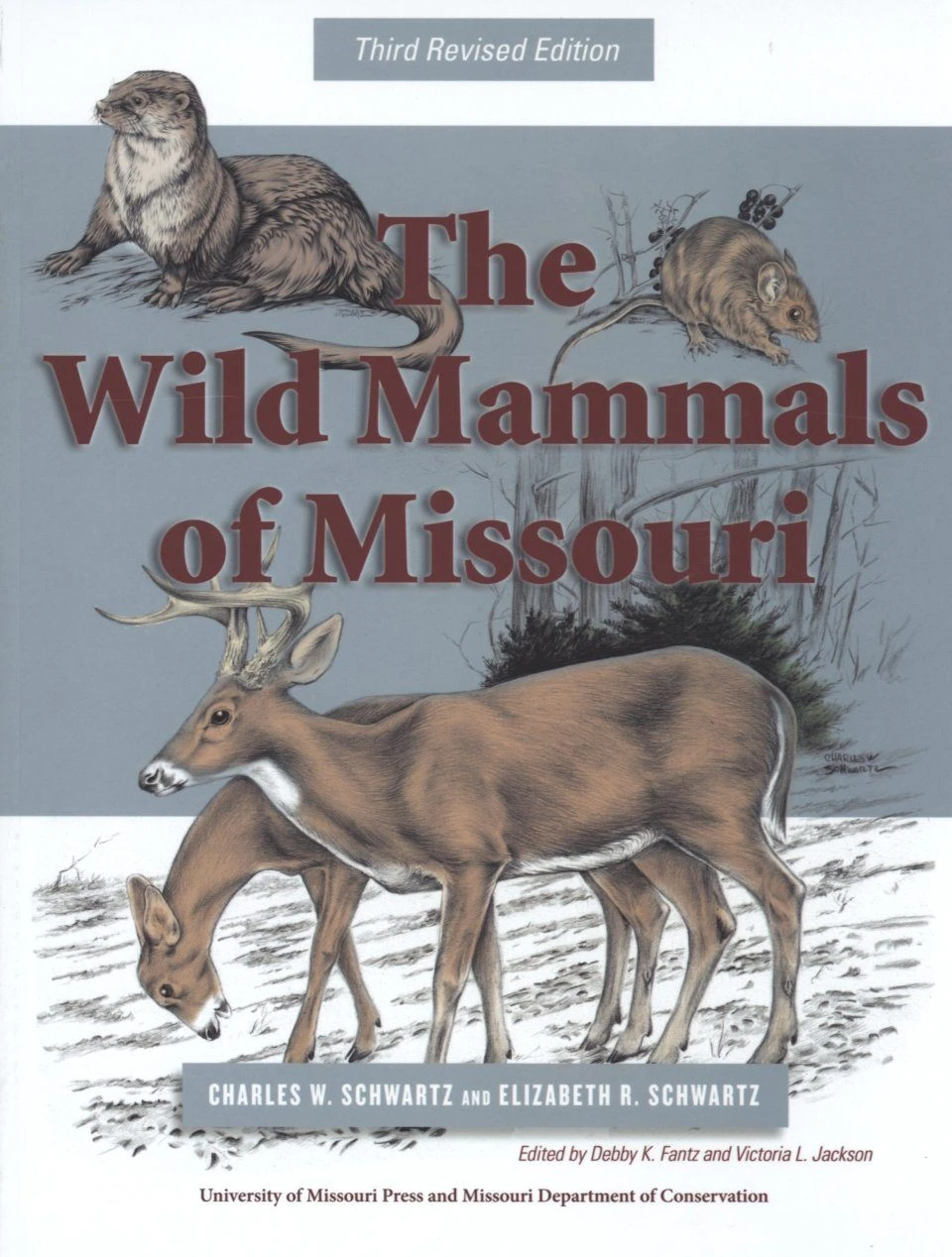 The Wild Mammals Of Missouri 3 The Wild Mammals Of Missouri
