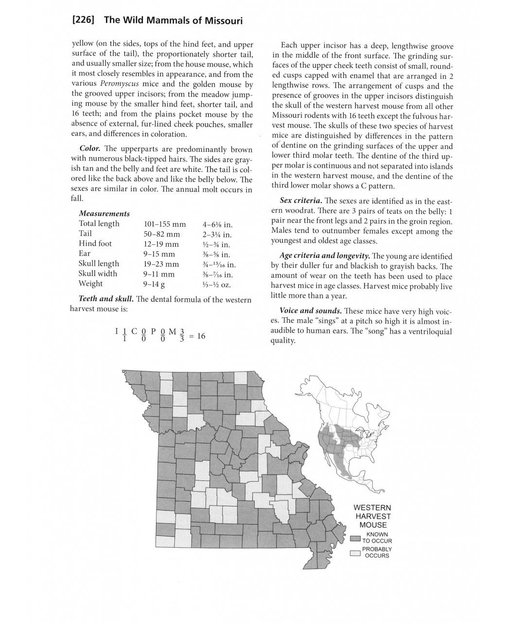 The Wild Mammals Of Missouri 6 The Wild Mammals Of Missouri - Image 4