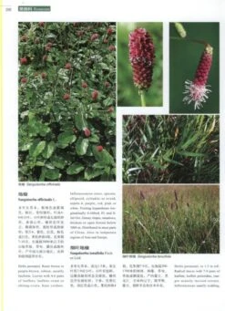 Higher Plants Of China In Colour, Volume 4: Angiosperms: Papaveraceae – Dichapetalaceae [English / Chinese] -Wildlife Professional Books 231075 2