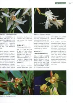 Higher Plants Of China In Colour, Volume 9: Angiosperms: Taccaceae – Orchidaceae [English / Chinese] -Wildlife Professional Books 231186 2