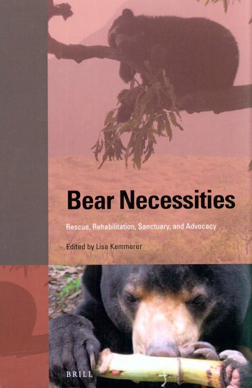 Bear Necessities 3 Bear Necessities - Image 2