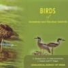 Birds Of Andaman And Nicobar Islands 1 Birds Of Andaman And Nicobar Islands -Wildlife Professional Books 232683