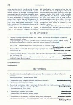 Handbook Of The Marine Fauna Of North-West Europe 12 Handbook Of The Marine Fauna Of North-West Europe -Wildlife Professional Books 232727 2