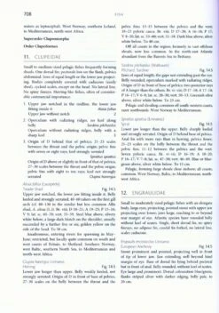 Handbook Of The Marine Fauna Of North-West Europe 15 Handbook Of The Marine Fauna Of North-West Europe -Wildlife Professional Books 232727 5