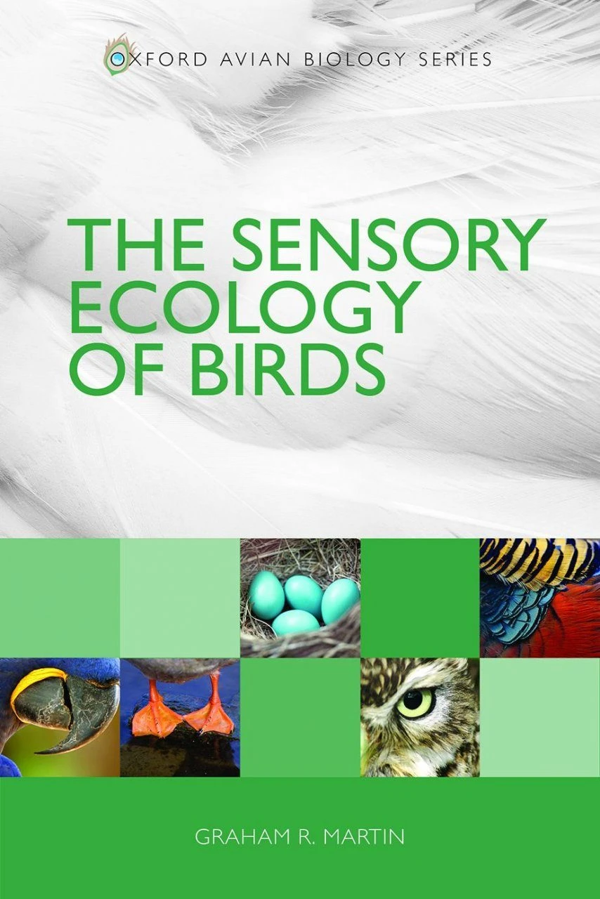 The Sensory Ecology Of Birds 4 The Sensory Ecology Of Birds - Image 2