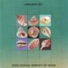Catalogue Of Marine Molluscs: Polyplacophora And Gastropoda 1 Catalogue Of Marine Molluscs: Polyplacophora And Gastropoda -Wildlife Professional Books 232907