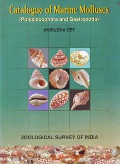 Catalogue Of Marine Molluscs: Polyplacophora And Gastropoda