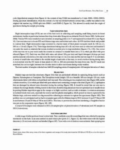 Insects Of Mount Wilhelm 19 Insects Of Mount Wilhelm -Wildlife Professional Books 233076 02