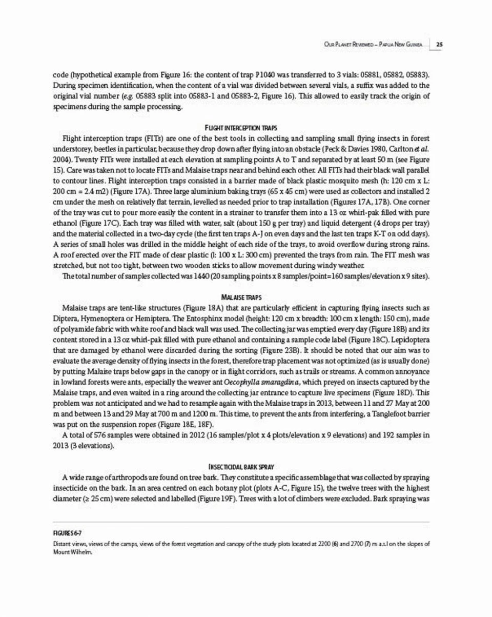 Insects Of Mount Wilhelm 5 Insects Of Mount Wilhelm - Image 3