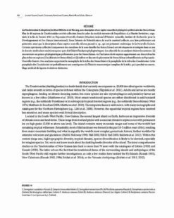 Insects Of Mount Wilhelm 20 Insects Of Mount Wilhelm -Wildlife Professional Books 233076 03